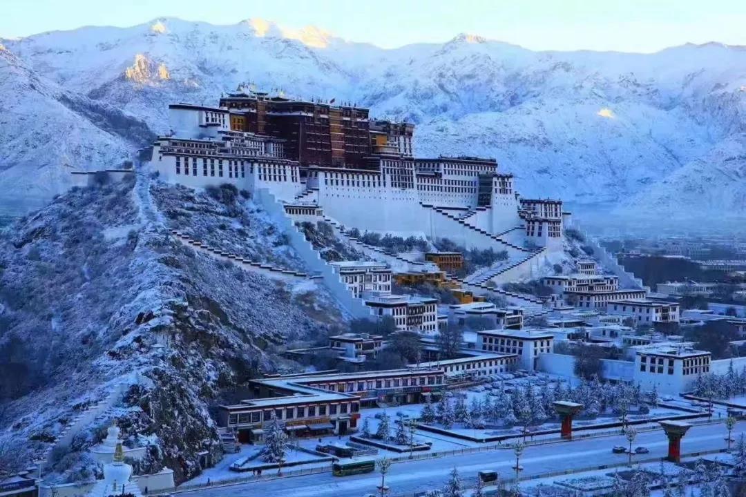 1546505725924047072.jpg 1546505725924047072.jpg