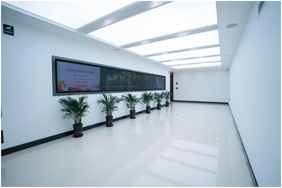 1589274860321061831.png 1589274860321061831.png