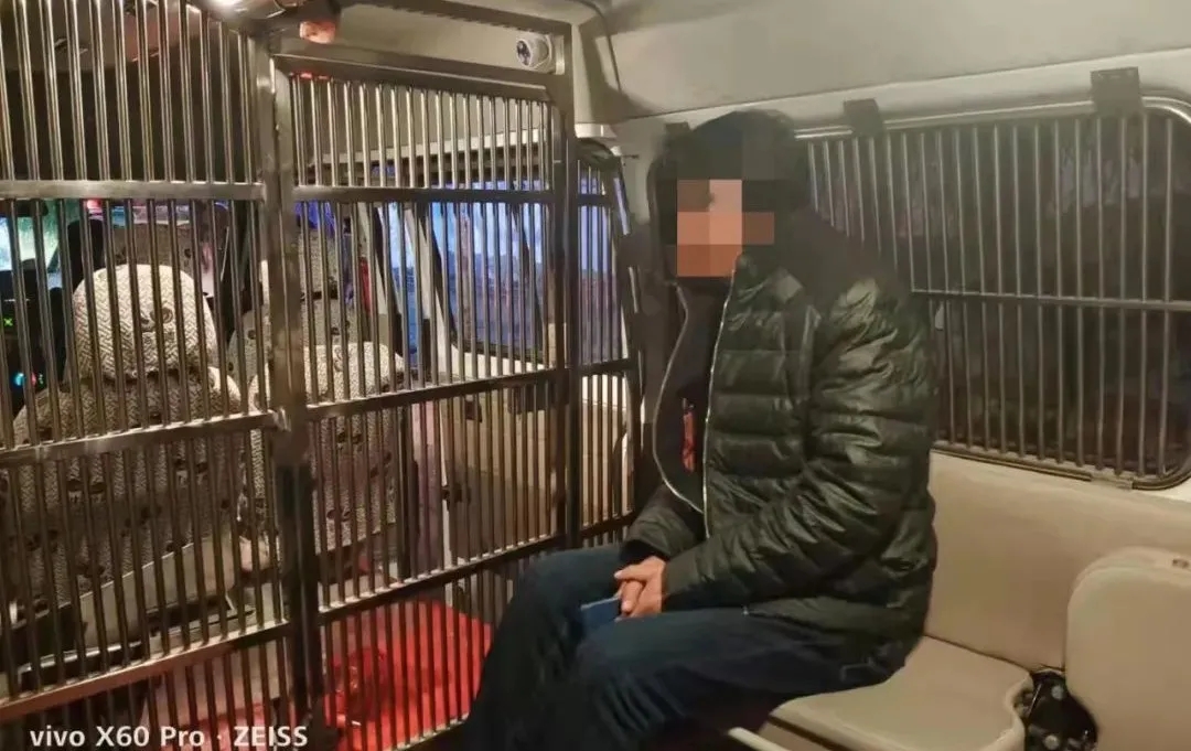 1634781252784082732.jpg 1634781252784082732.jpg